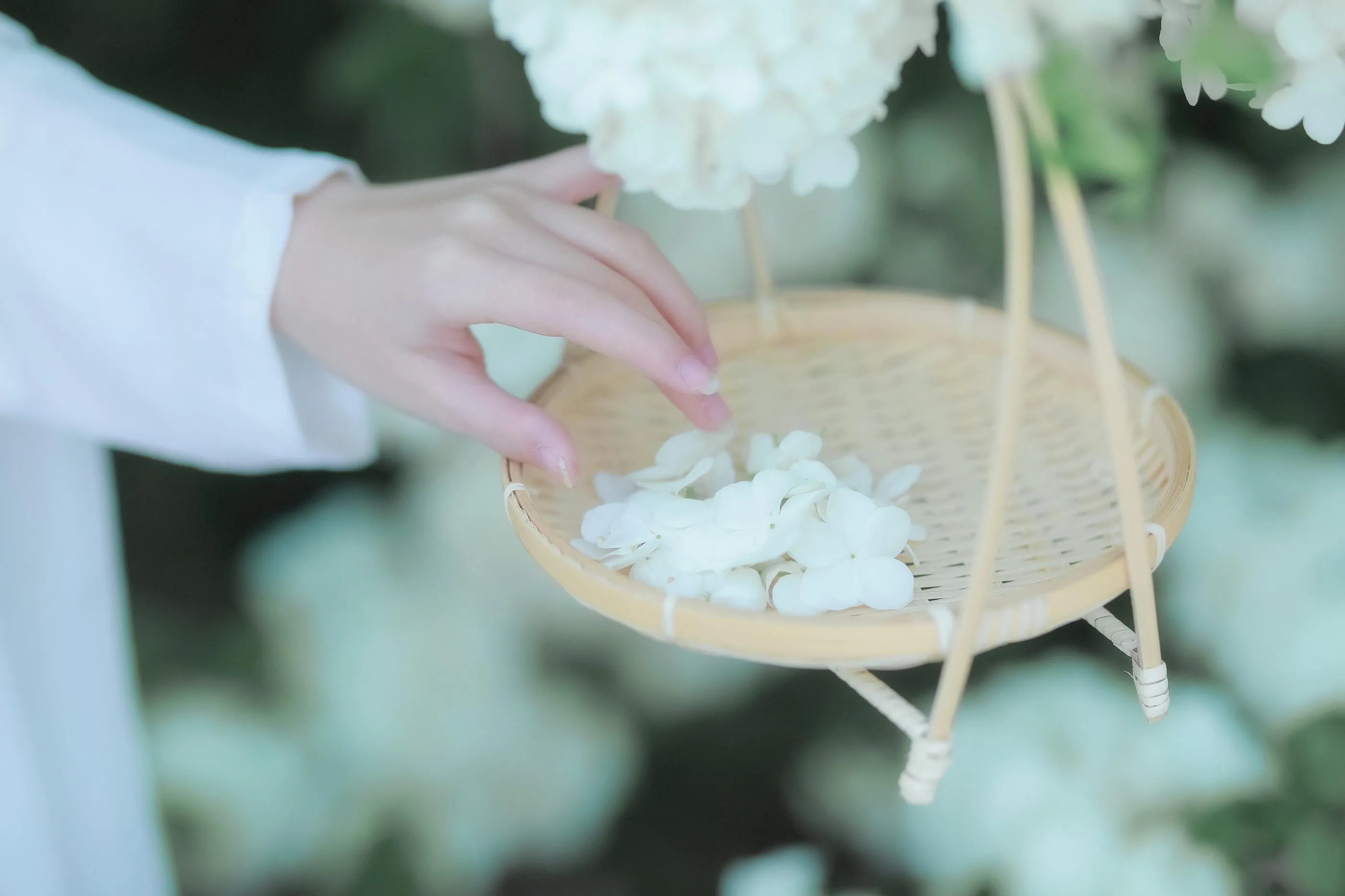 [艺图语] 2022.05.20 紫荆花开 若希icy [23P]插图9